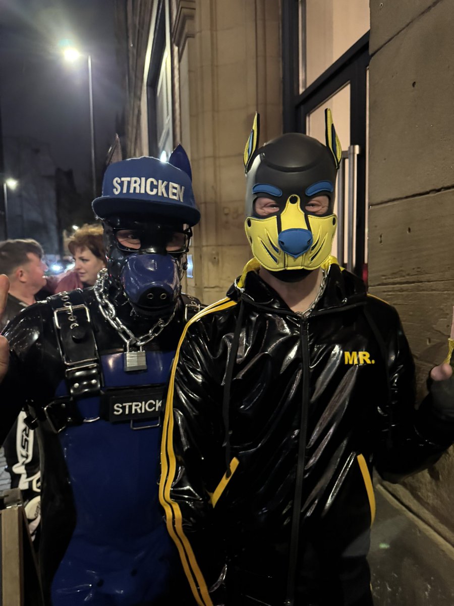 Helios Cobalt 🔜 KK & Collared tweet media