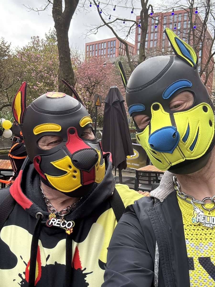 Helios Cobalt 🔜 KK & Collared tweet media