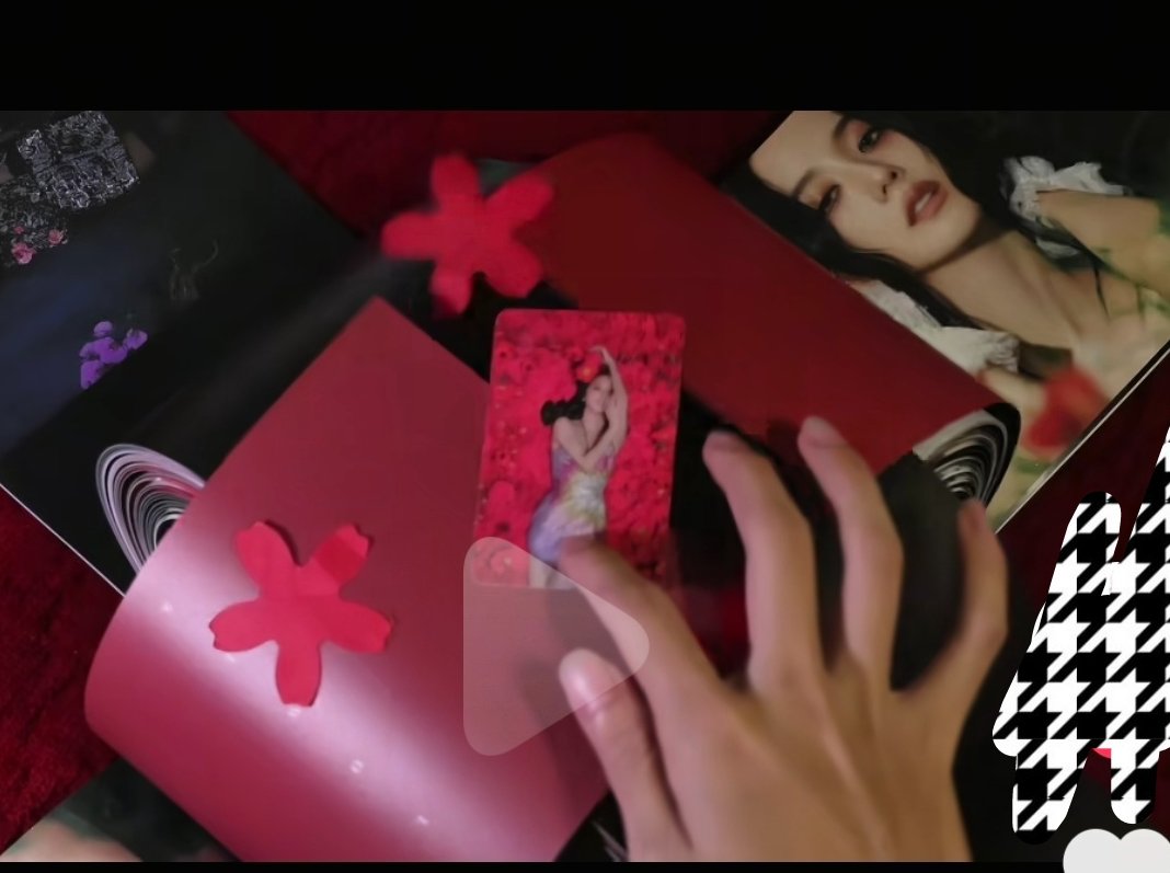 Shengsheng 🌊 tweet media