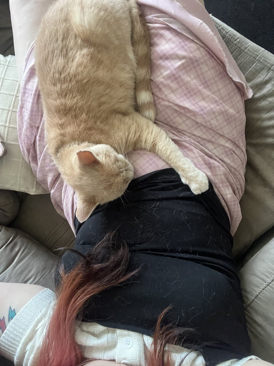 ໒꒰ ྀི ′̥̥̥ ᵔ ‵̥̥̥ ꒱ྀིა tweet media