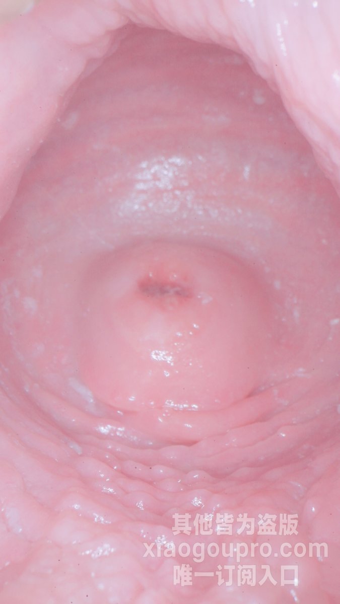 Puppypro🐕💕 tweet media