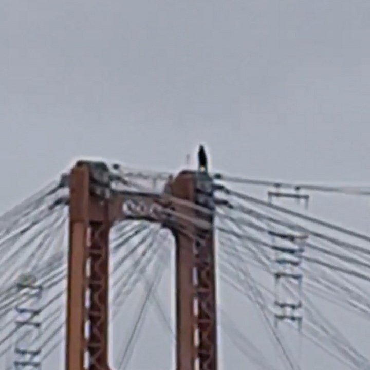 Humanos de Santa Fe tweet media