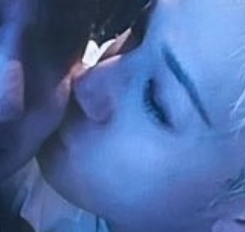 빈찬의 고양이 🐈 tweet media