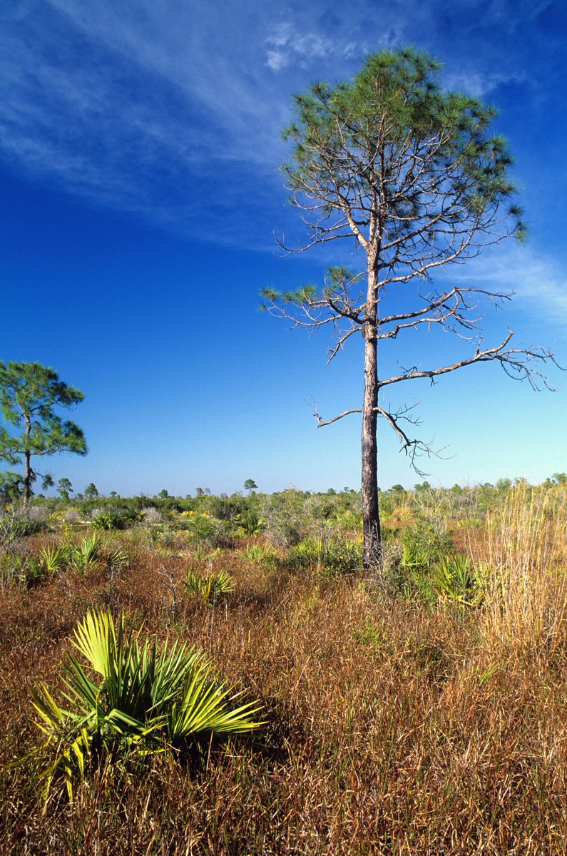 neon 🍁 tweet media