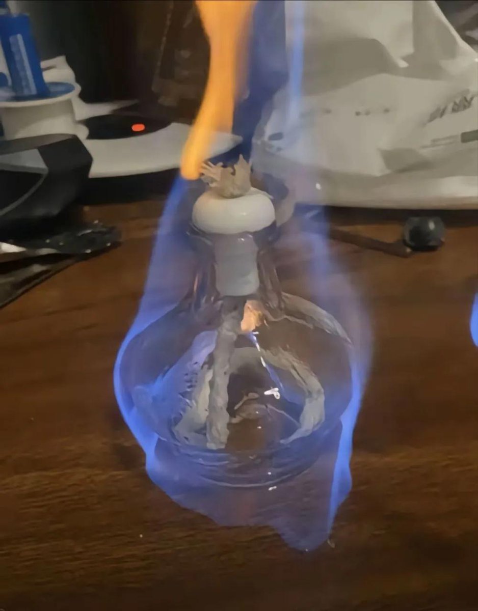 狐曌🦊 tweet media