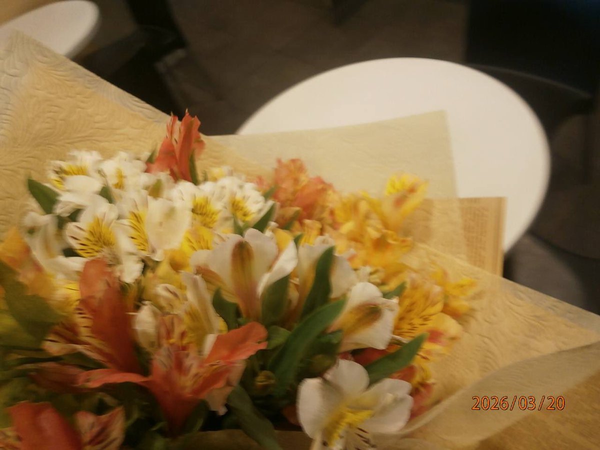 sca ୨୧ tweet media