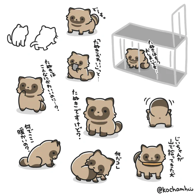 #たぬきかわいい大会
大会が開催されています🐾 