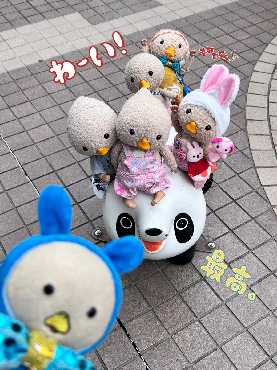 ともさん➕トガル🐡🎮🎬💿🍿🍂🐟🦑 tweet media