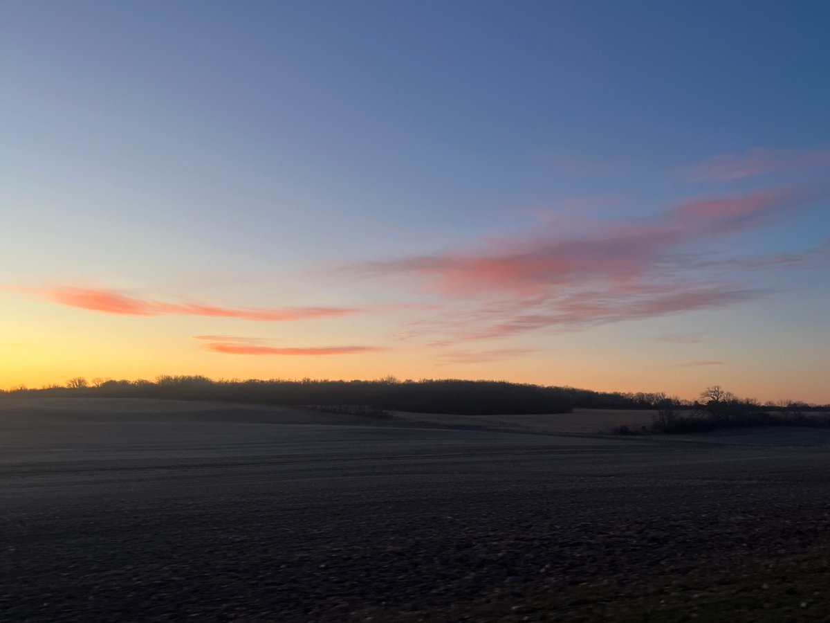 soilliam tweet media