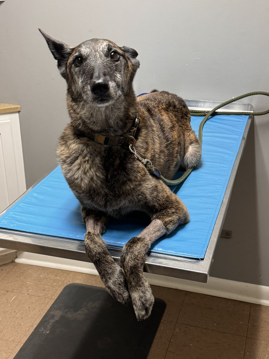 ๐ฑ๐๐๐๐ ๐จ๐
๐๐๐๐๐ tweet media