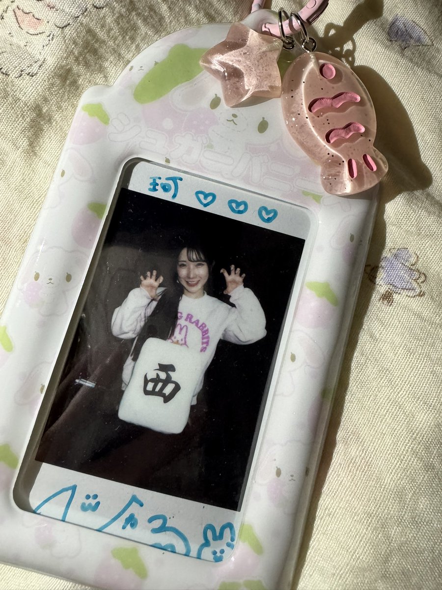 Akariyuukake's tweet photo. 世界で最も可愛らしい小さなウサギ🐰🥰love you🥰🥰
#宮西ひかる
@miyanishihikaru https://t.co/N0PKGxZQFV