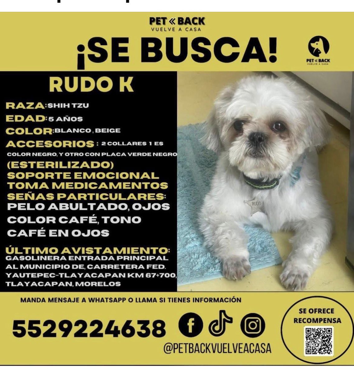 mamiblue🐶😸🦊🇲🇽 tweet media