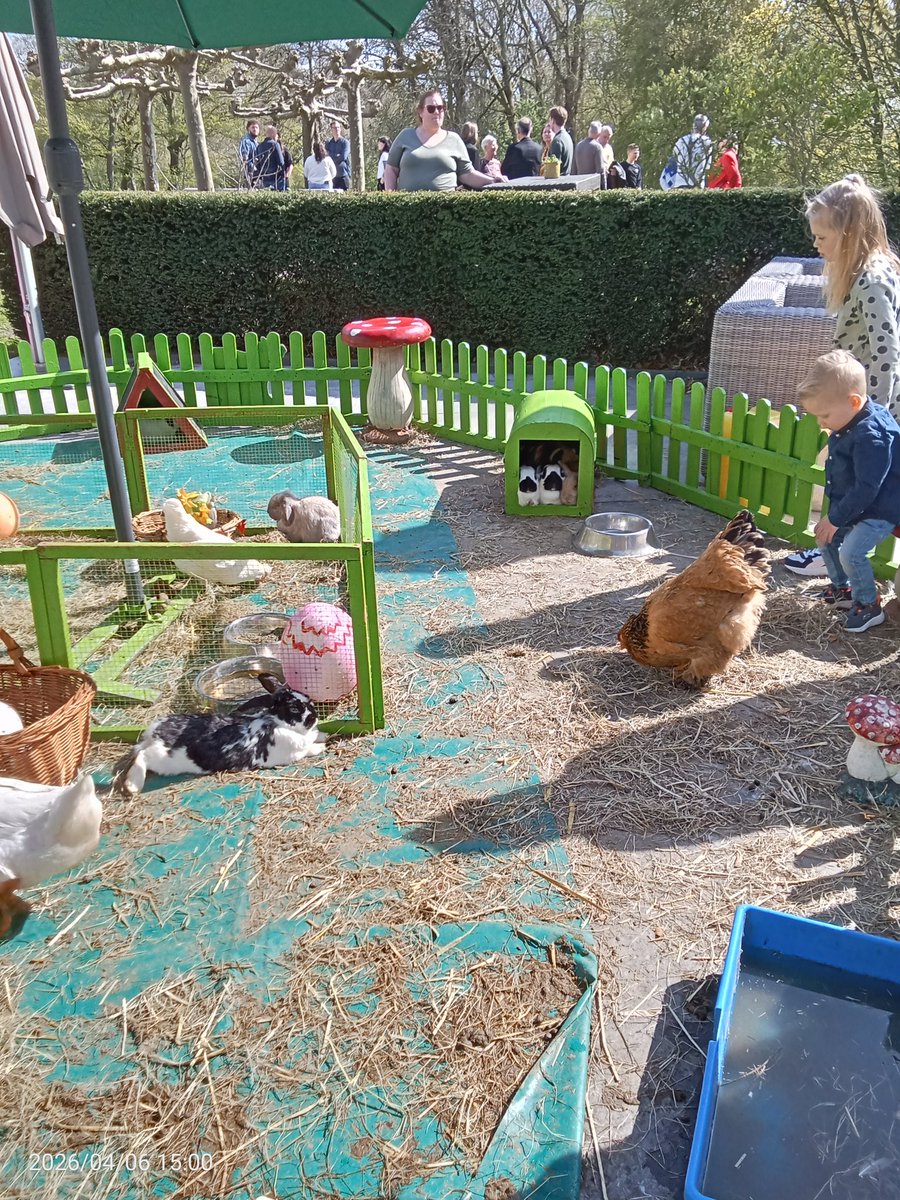 Diana de Raaf tweet media