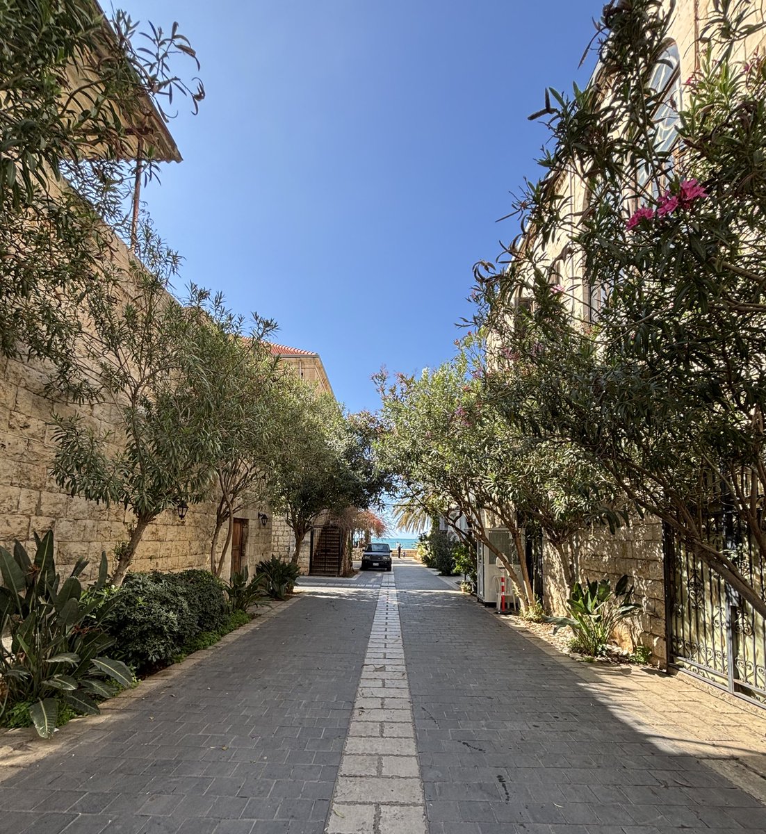 Mon Liban d’Azur tweet media