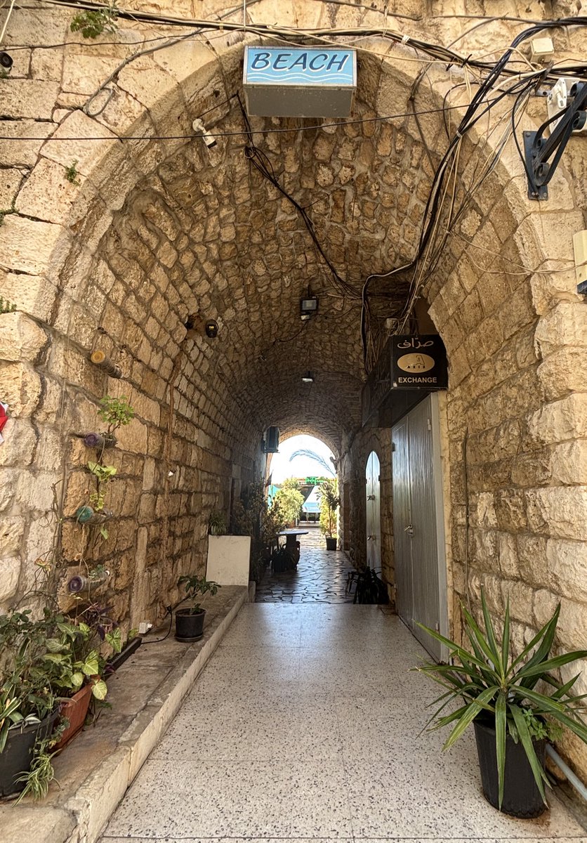 Mon Liban d’Azur tweet media