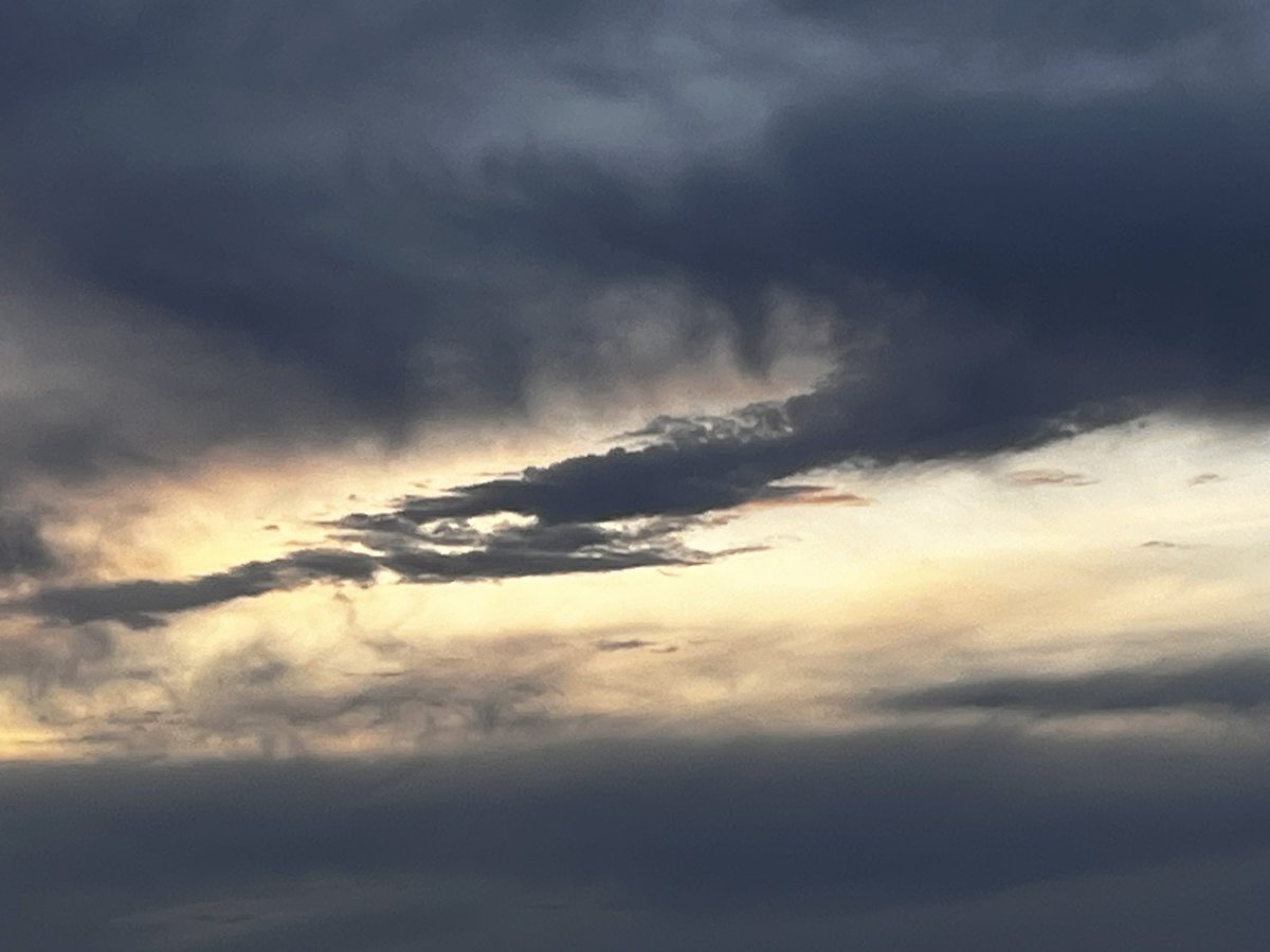 Carol M. Swain, PhD tweet media