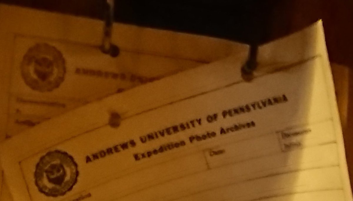 ユリーカ・ロックビルト(アメフロに好意を持つ層) tweet media