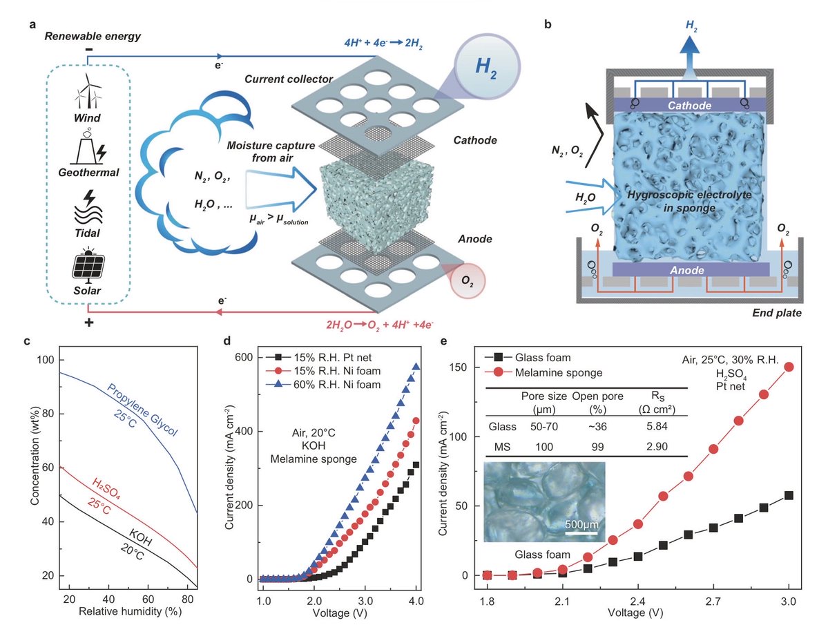 Maurizio Iβα tweet media
