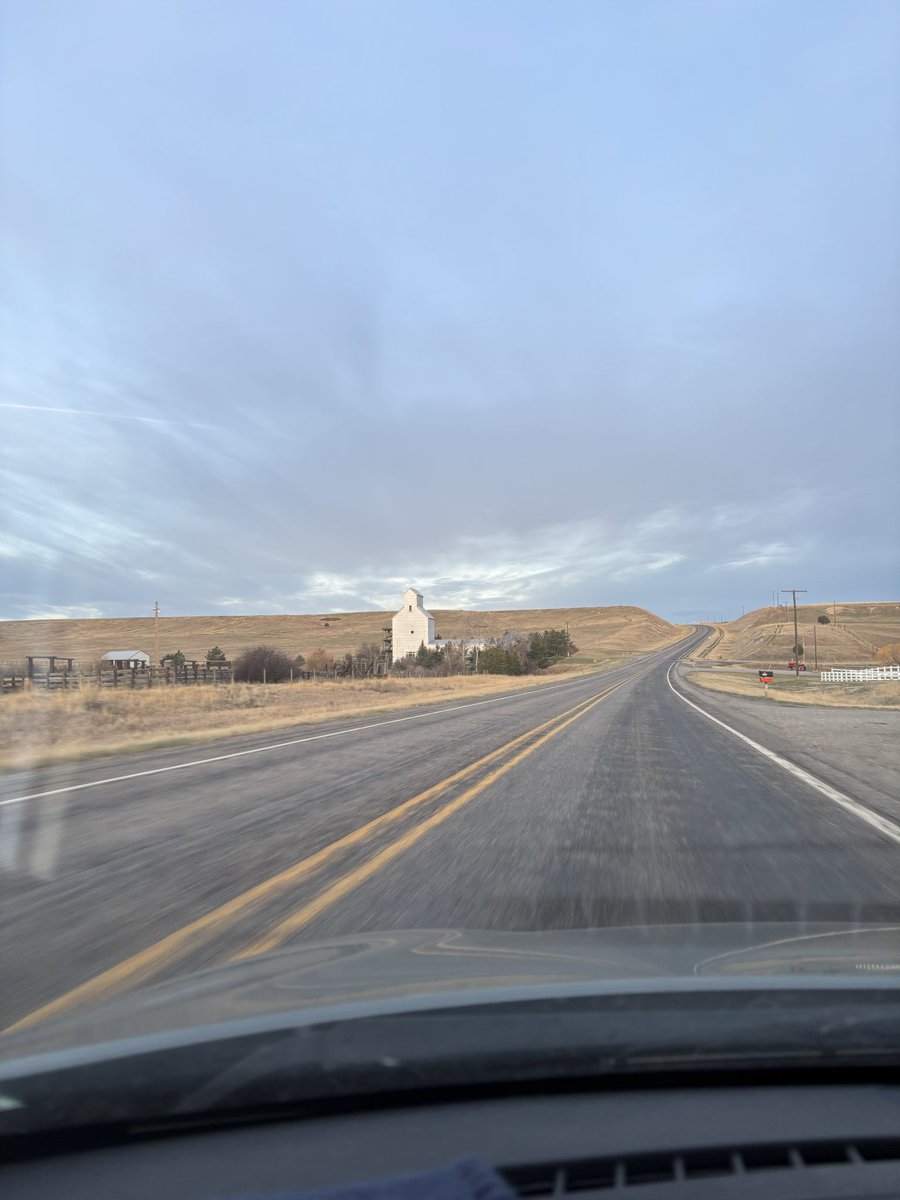 strongestOso tweet media