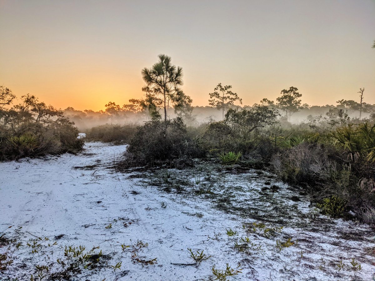 neon 🍁 tweet media