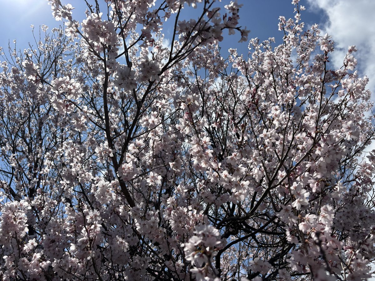 おいちゃん tweet media