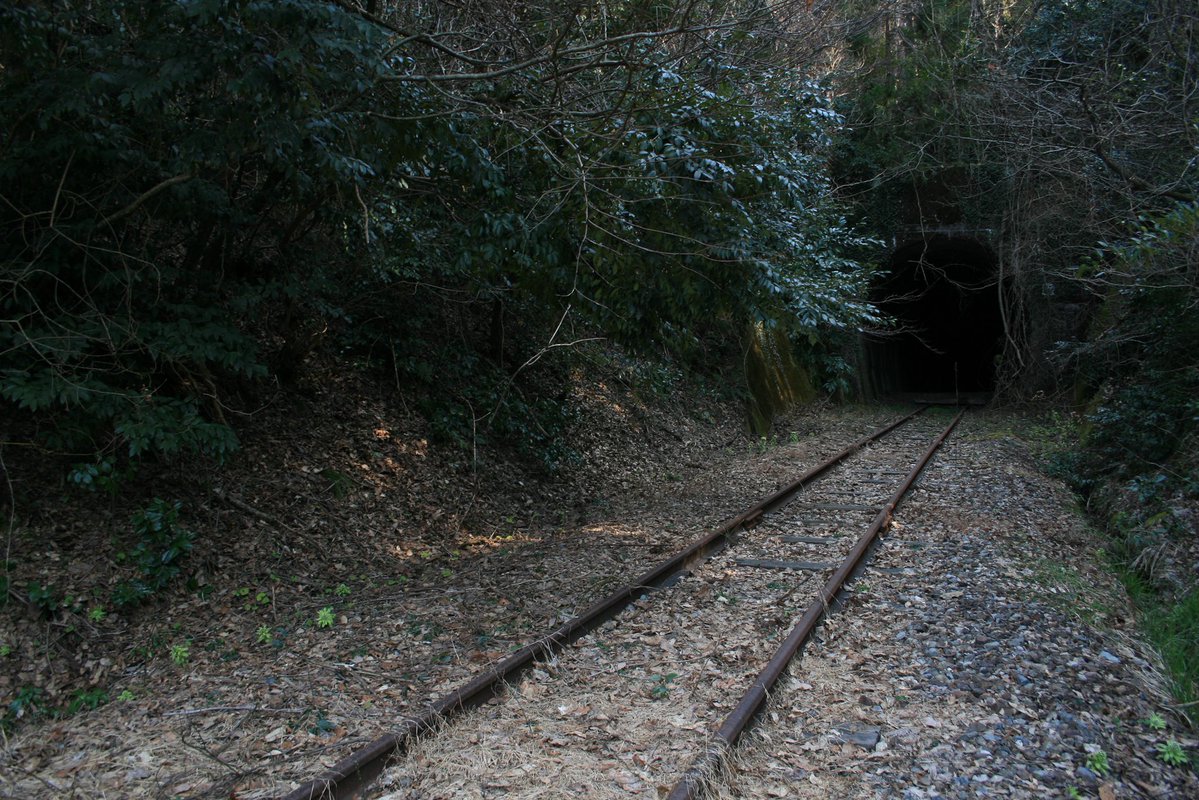 はまち tweet media