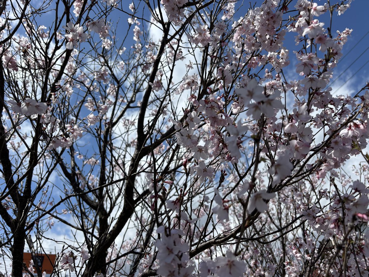 おいちゃん tweet media