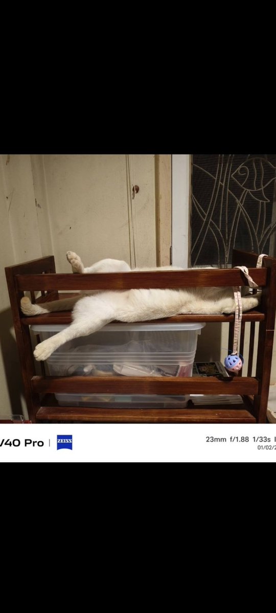 ภูชิสส์-Heart--Pearl----- tweet media