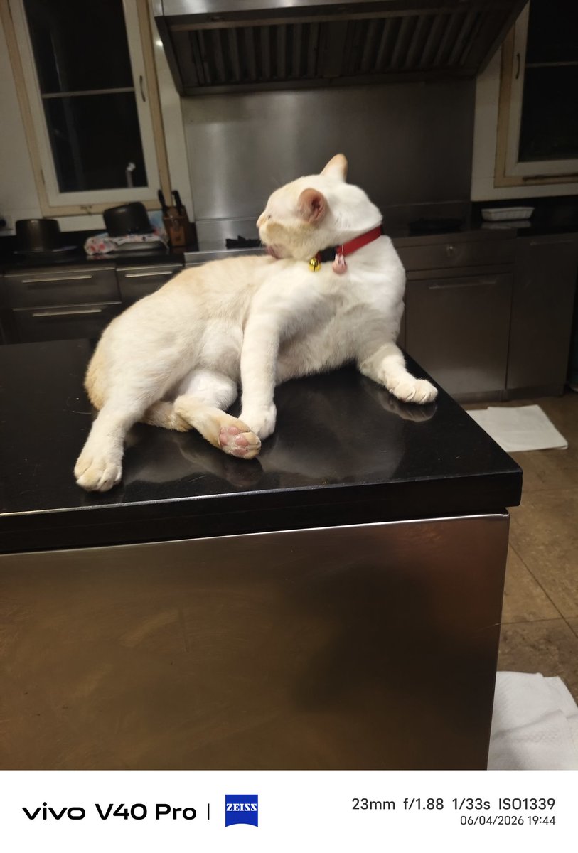 ภูชิสส์-Heart--Pearl----- tweet media