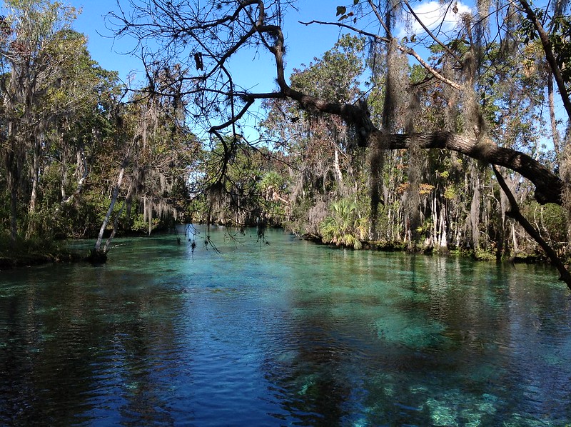 neon 🍁 tweet media