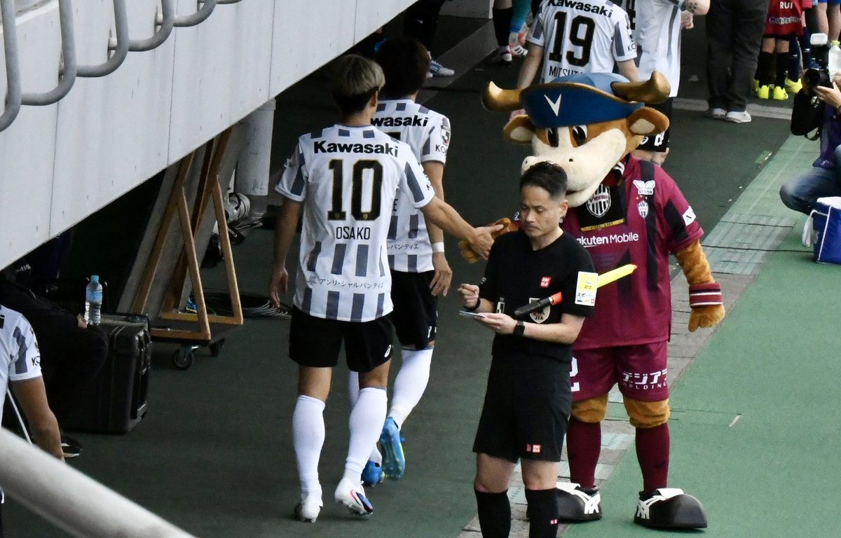 ぬこ🦭 tweet media