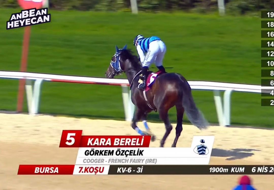 İsmail Bozkurt tweet media