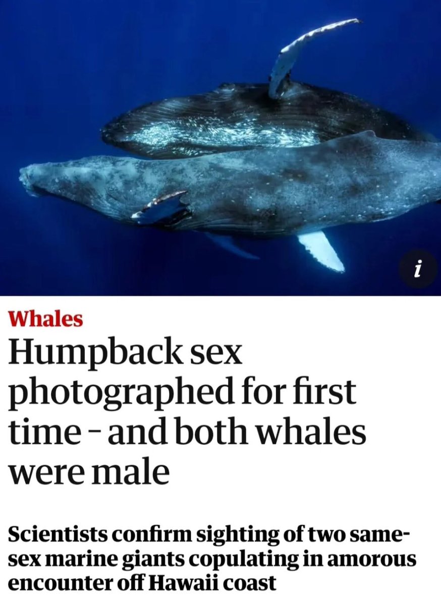 Grumpy old Scotsman tweet media