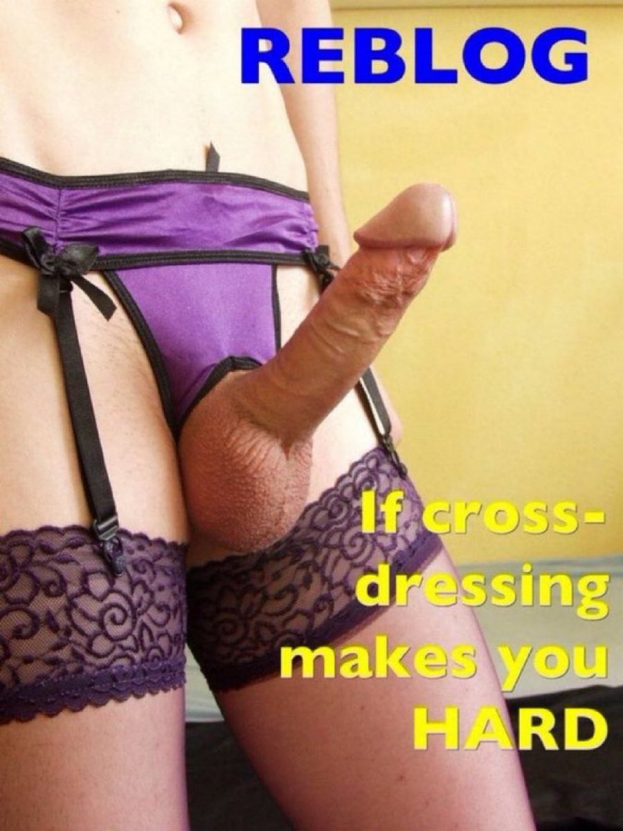 MISTRESS VIOLA SISSY SCHOOL/SISSY-GAY TEST tweet media