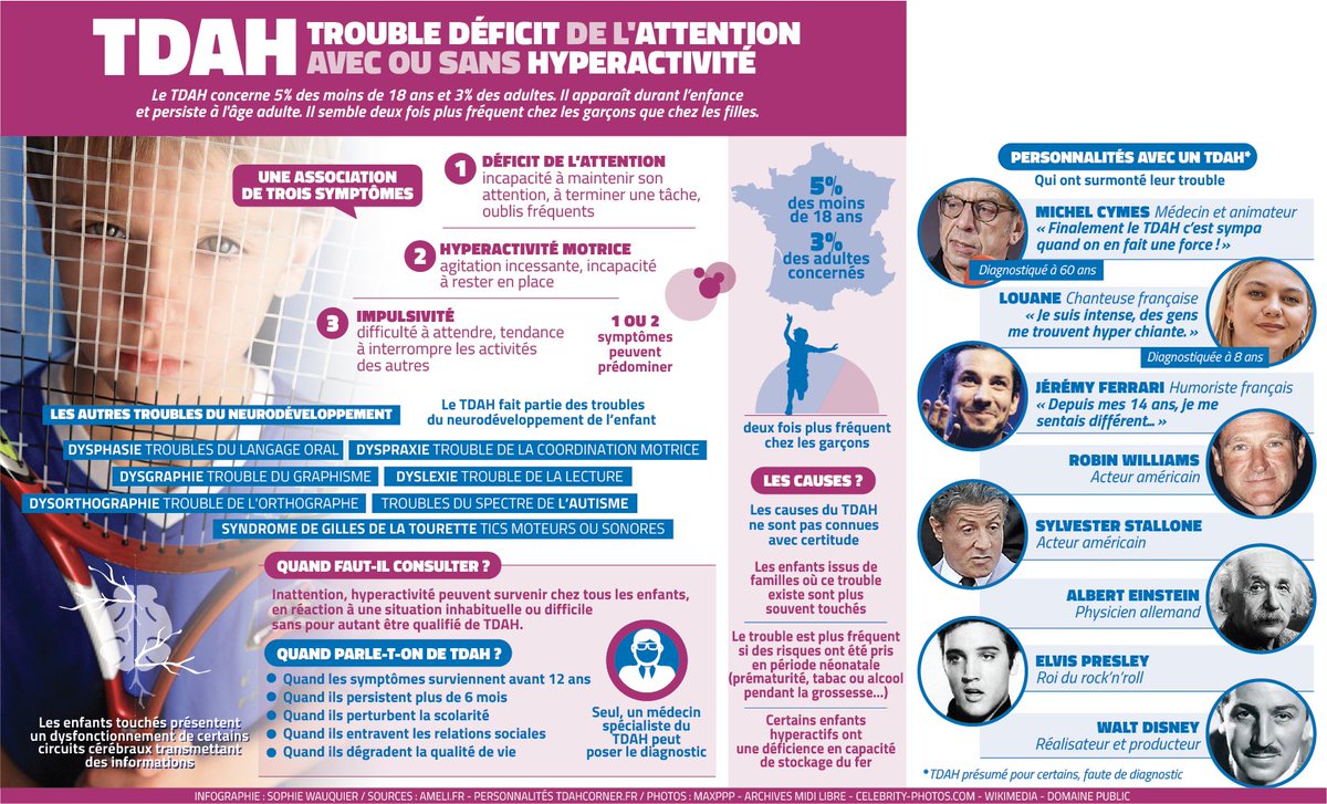 Sophie Wauquier tweet media