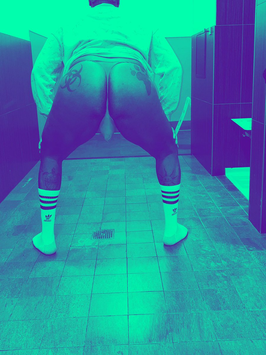 MaxoTunga tweet media