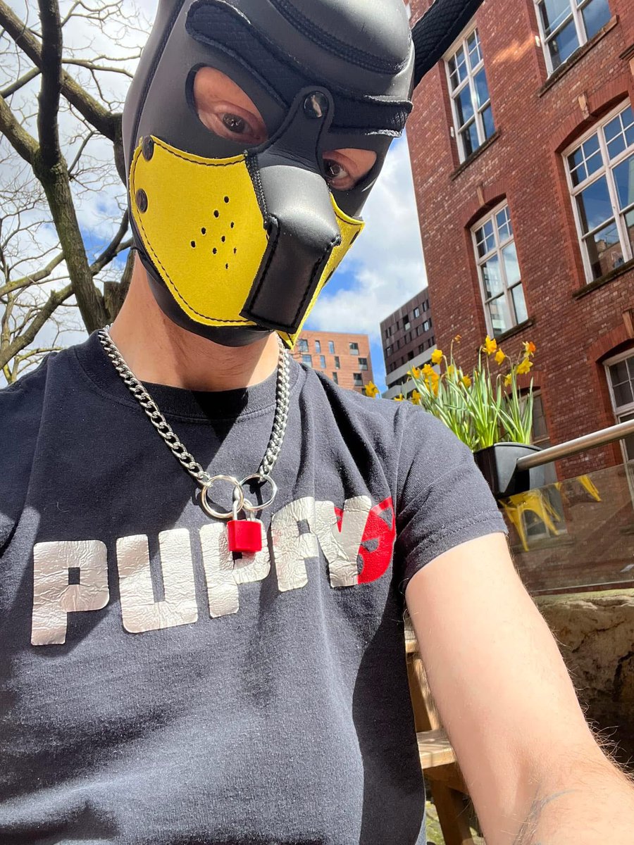 Helios Cobalt 🔜 KK & Collared tweet media