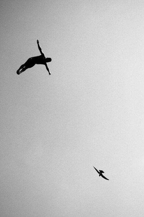 Mar 🌊 tweet media