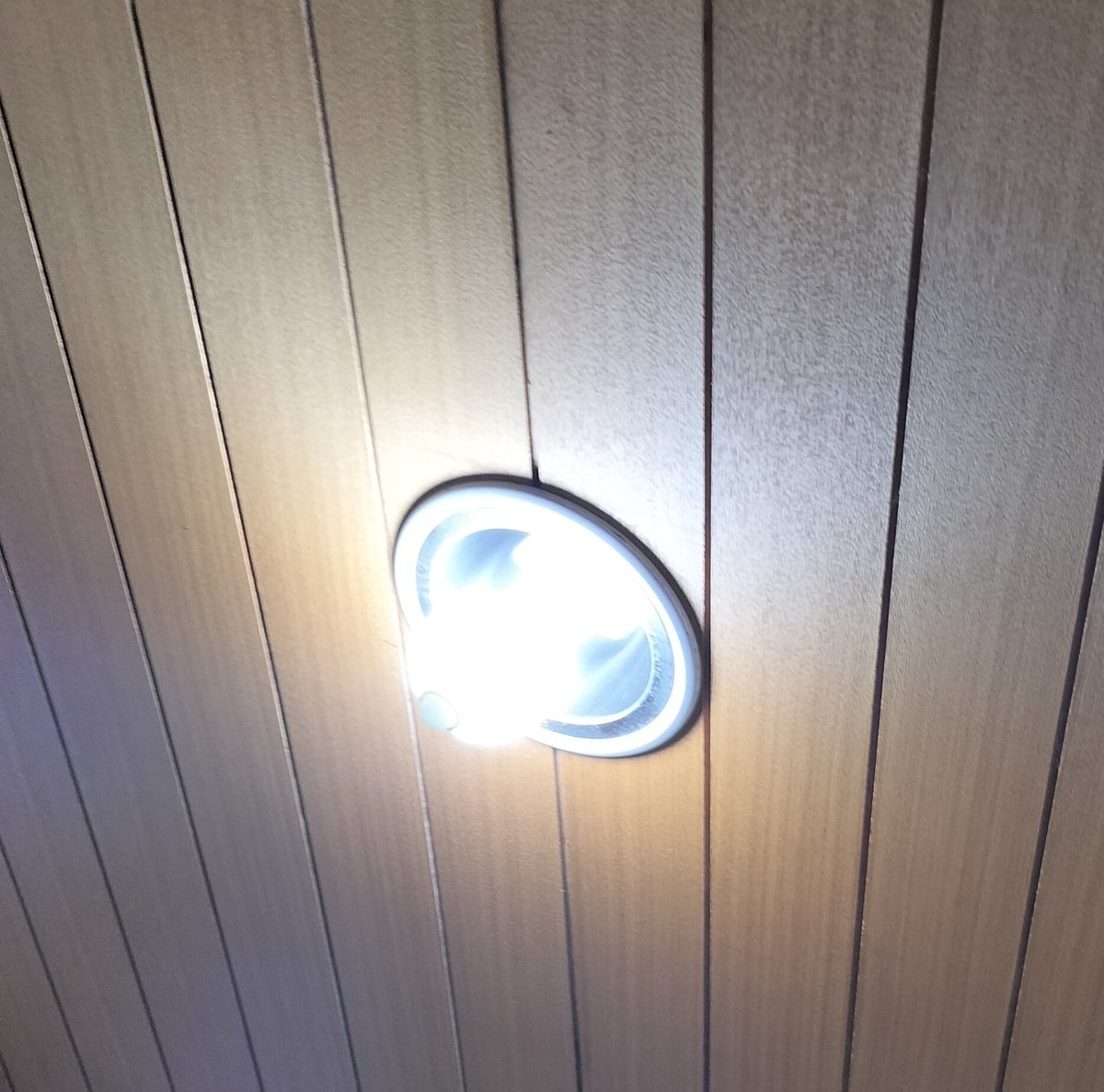 ぱわーどぜっとん tweet media