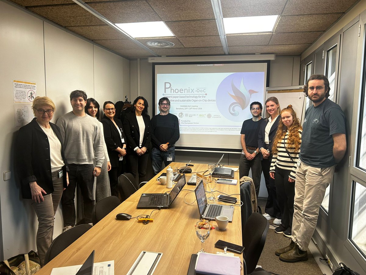 PhoenixOoC's tweet image. The Phoenix-OoC project meeting was held on 23–24 March 2026 at IBEC, Barcelona. Partners presented progress across the work packages and discussed the next steps for the project. 

Great discussions and strong collaboration throughout the meeting. 

#PhoenixOoC #IBEC #EUProject