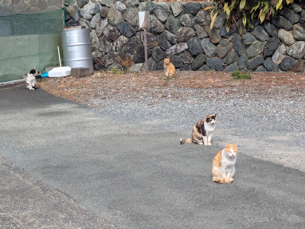 鹿取茂雄（よごれん） tweet media