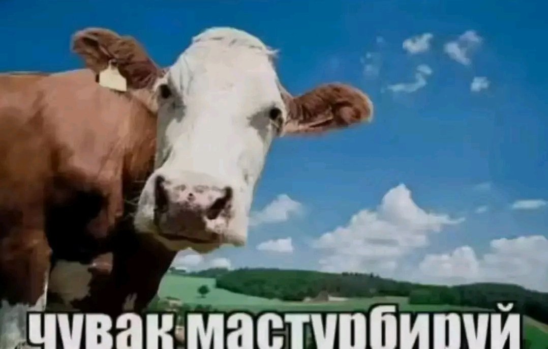 🇺🇲DeadString🇦🇪 {OnlyOne} tweet media