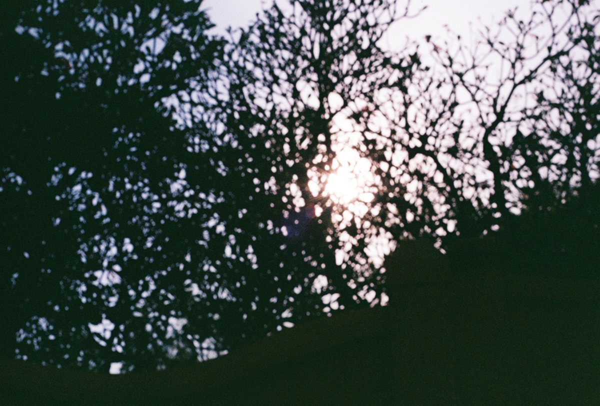 ilhamnurarf's tweet photo. komorebi

#nikonf3 #kcp200 https://t.co/b0KBT1L3XL