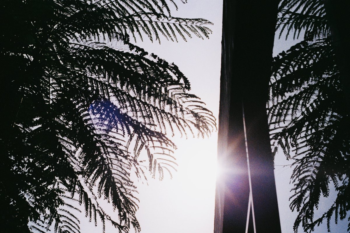 ilhamnurarf's tweet photo. komorebi

#nikonf3 #kcp200 https://t.co/b0KBT1L3XL