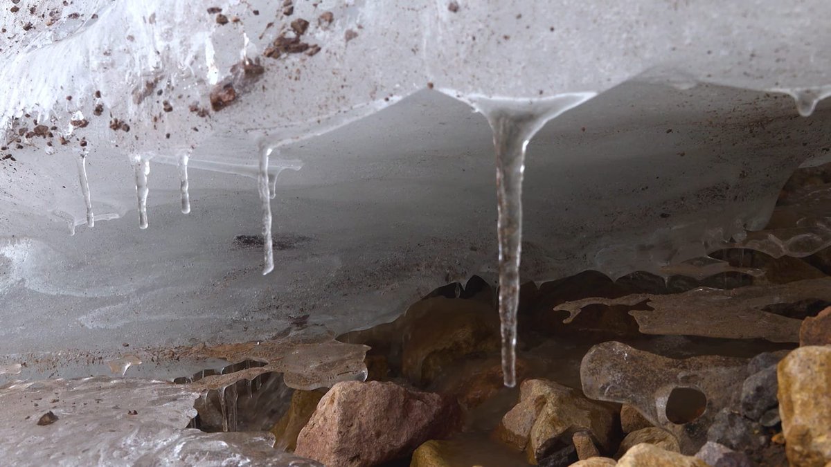 Alejo di Risio tweet media