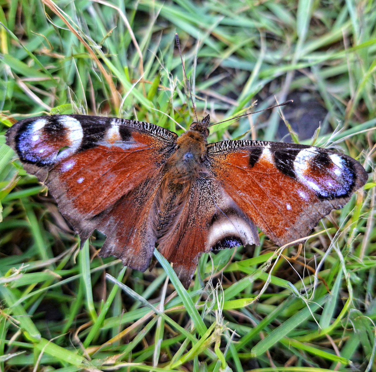 gary parratt tweet media