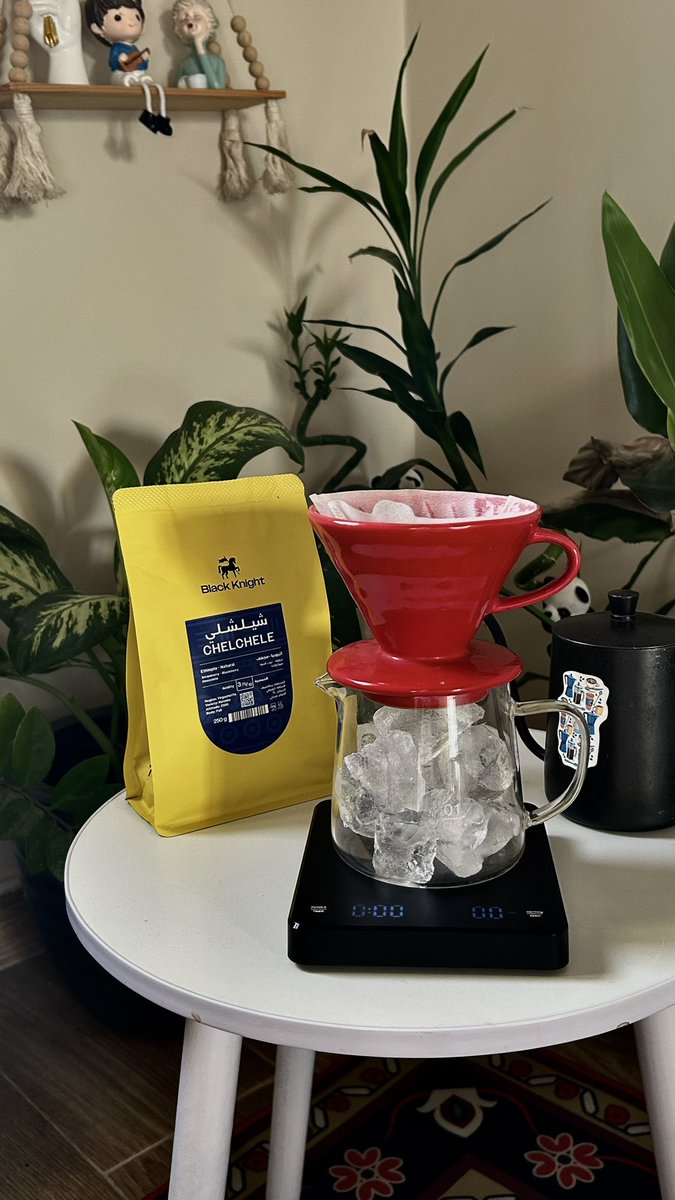 زينو tweet media