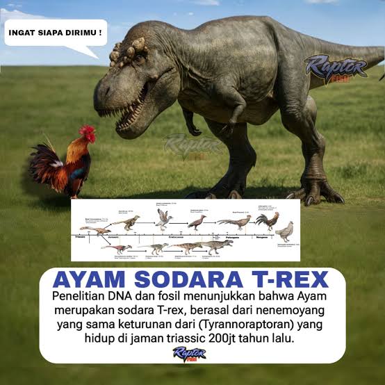 Wahyu Prasetya 🍉 tweet media