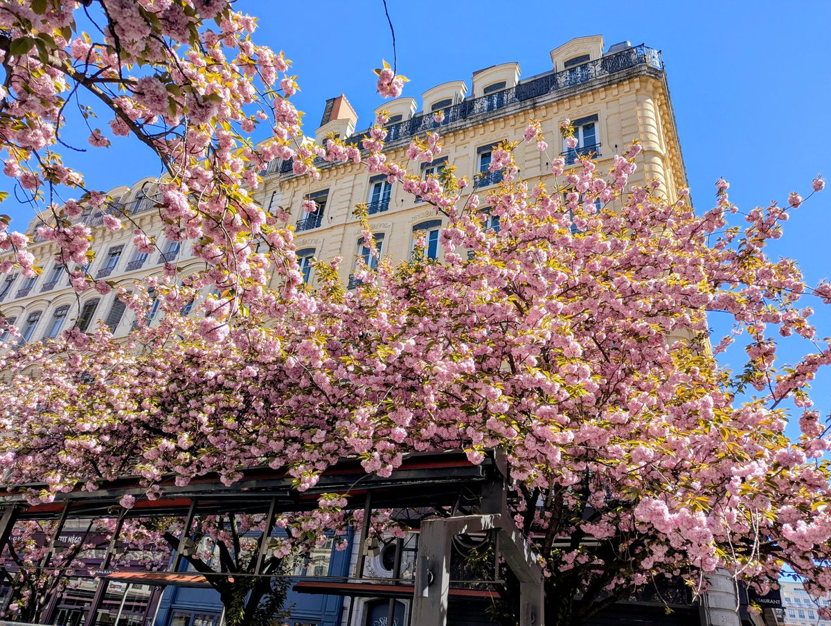 genevievinteu1l's tweet image. Bel après -midi à tous depuis #Lyon avec la talentueuse photographe @MarieOfMars 💙💙💙