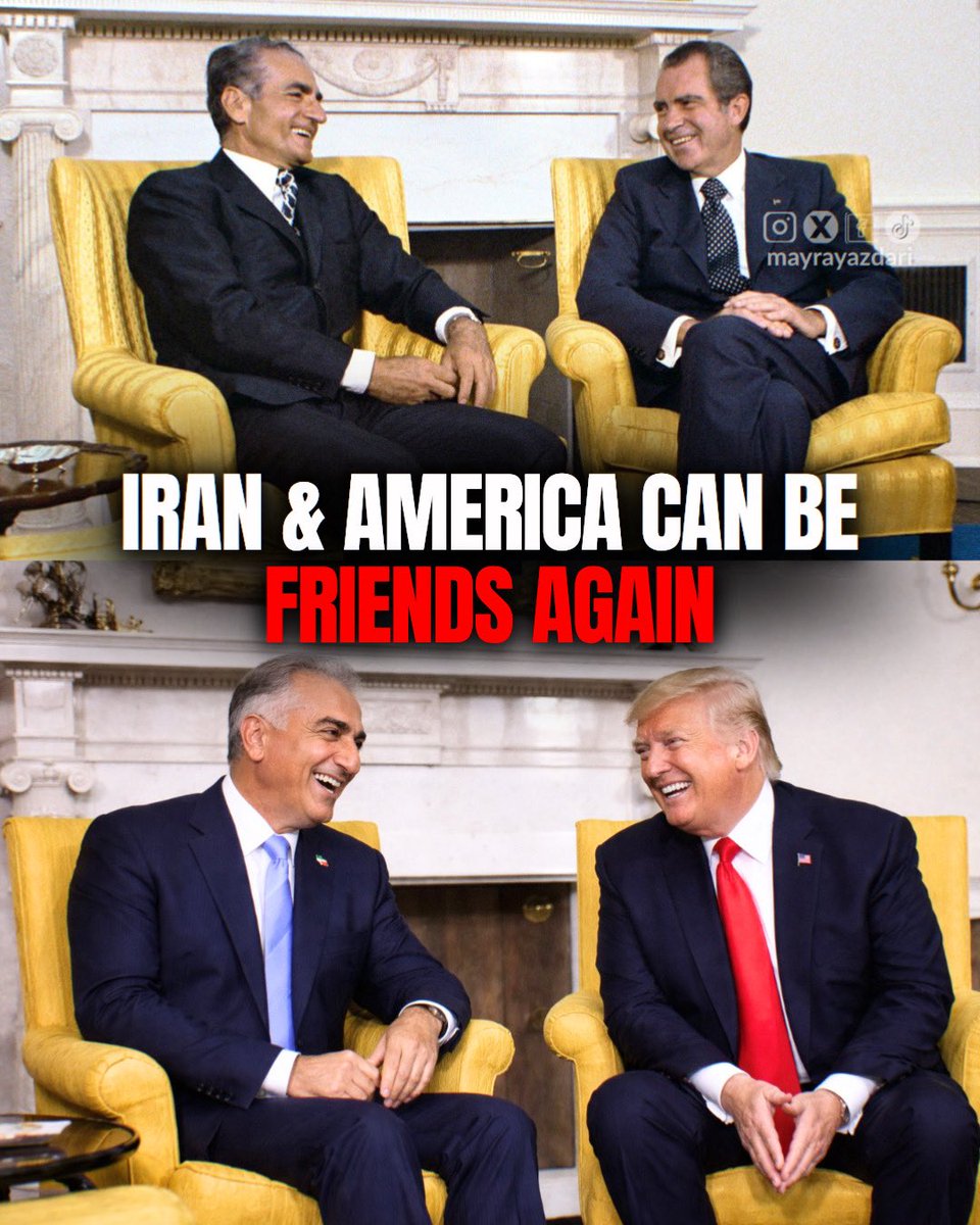 Mayra Yazdari tweet media